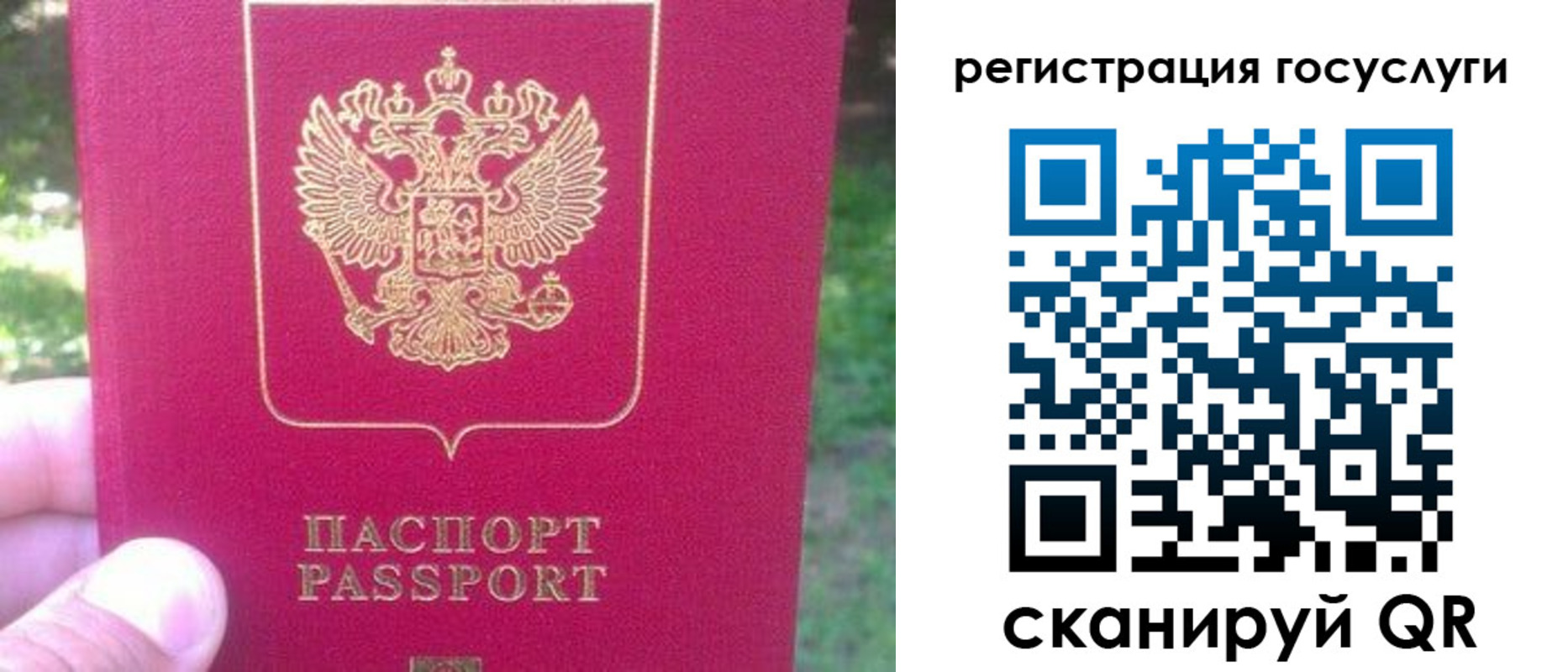 временная прописка в Мончегорске